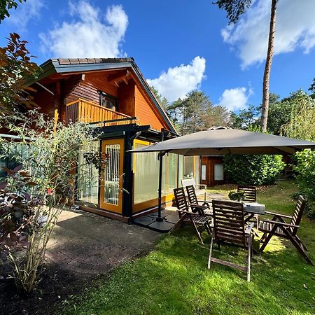 Houten Chalet/Bungalow In Het Bos, Sauna, Jacuzzi Meijel Exterior photo