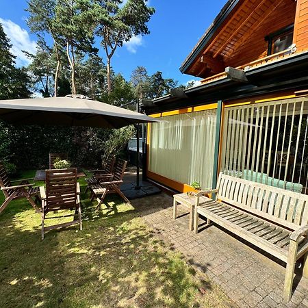 Houten Chalet/Bungalow In Het Bos, Sauna, Jacuzzi Meijel Exterior photo